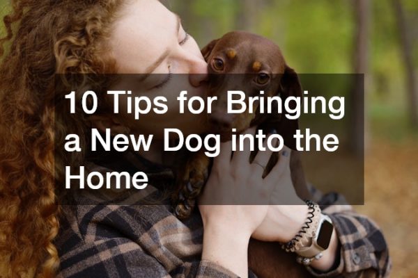 10 Tips for Bringing a New Dog into the Home